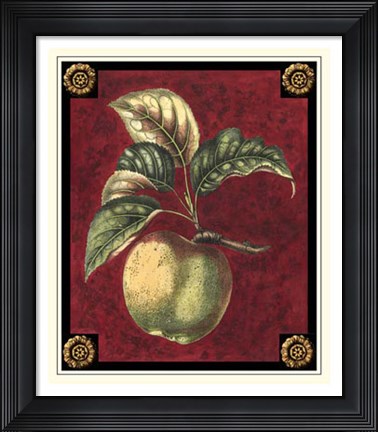 Framed Pomme De Hubbardston Print