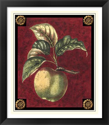 Framed Pomme De Hubbardston Print