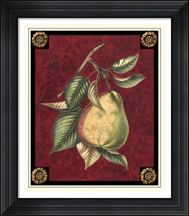 Framed Poire D'Arenburg Print