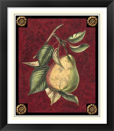 Framed Poire D&#39;Arenburg Print