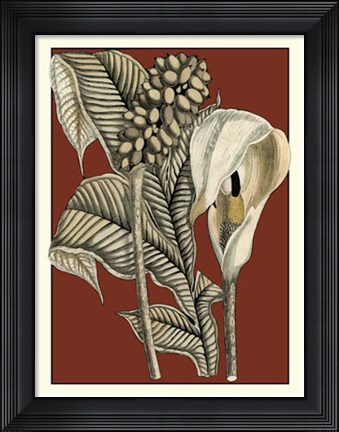 Framed Exotic Botanical I Print