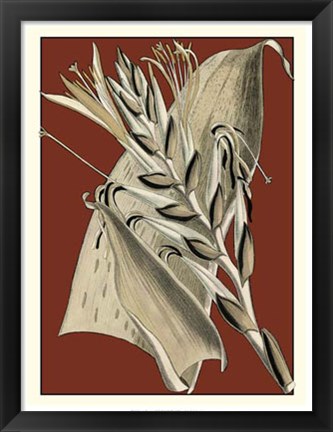 Framed Exotic Botanical II Print