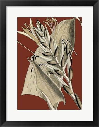 Framed Exotic Botanical II Print