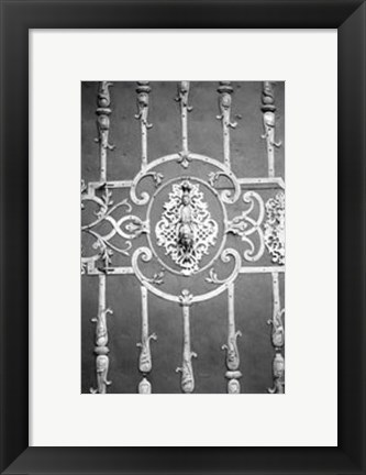 Framed Distinguished Doors II Print