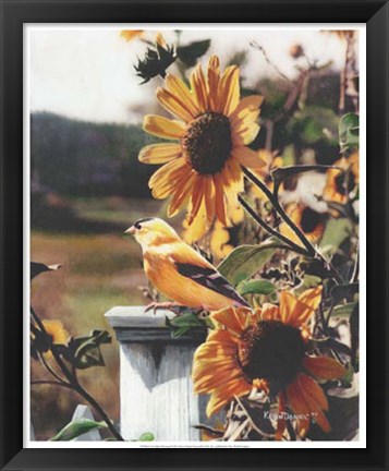 Framed Golden Morning Print