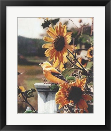 Framed Golden Morning Print