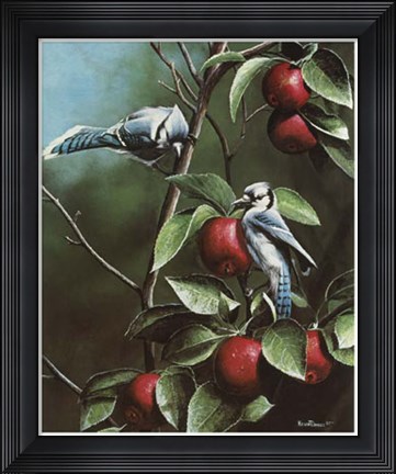 Framed Summer Blue Jays Print
