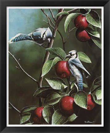 Framed Summer Blue Jays Print