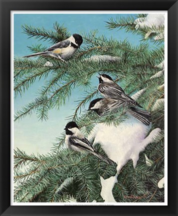 Framed Winter Chicadees Print