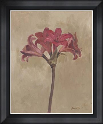 Framed Blooms &amp; Stems III Print