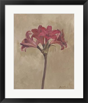 Framed Blooms &amp; Stems III Print