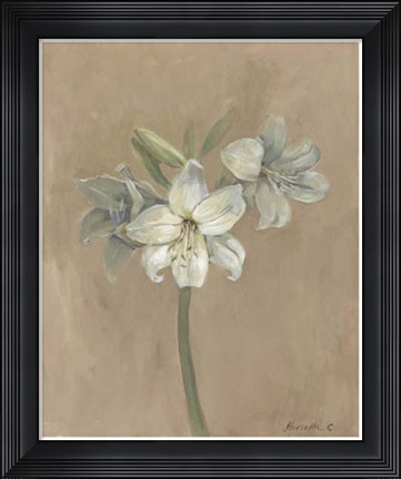 Framed Blooms &amp; Stems IV Print