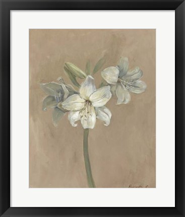 Framed Blooms &amp; Stems IV Print