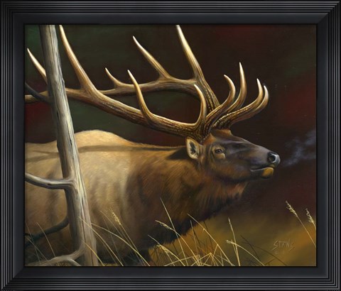 Framed Elk Portrait II Print