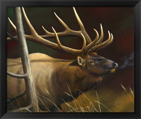 Framed Elk Portrait II Print