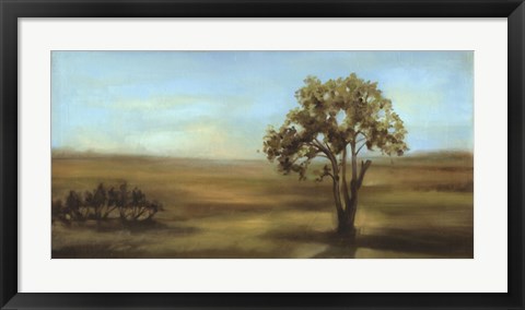 Framed Panoramic Field I Print