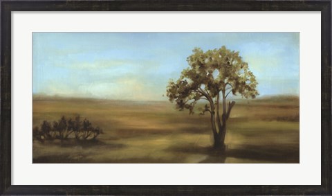 Framed Panoramic Field I Print
