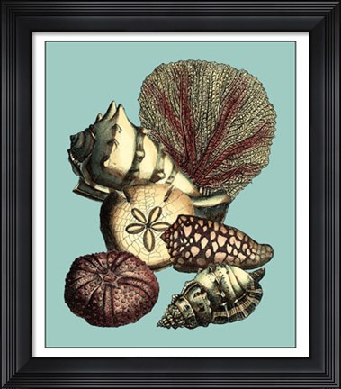Framed Printed Shell &amp; Coral Collection I Print