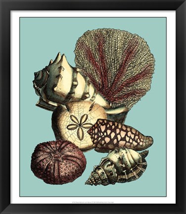 Framed Printed Shell &amp; Coral Collection I Print