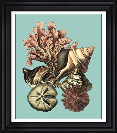 Framed Printed Shell &amp; Coral Collection II Print