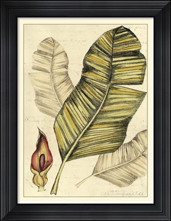 Framed Reminiscence I Print