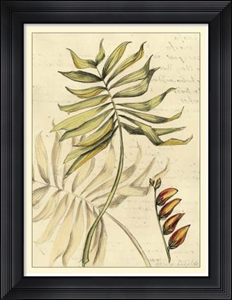 Framed Reminiscence II Print