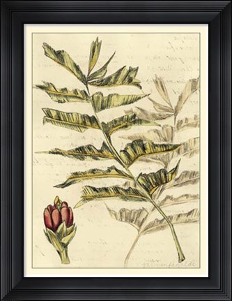 Framed Reminiscence III Print