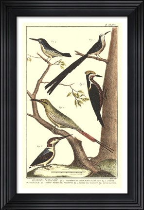 Framed Bird Family III Print