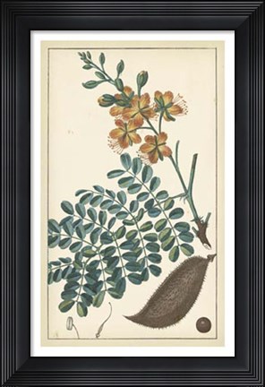 Framed Tropical Infusion III Print