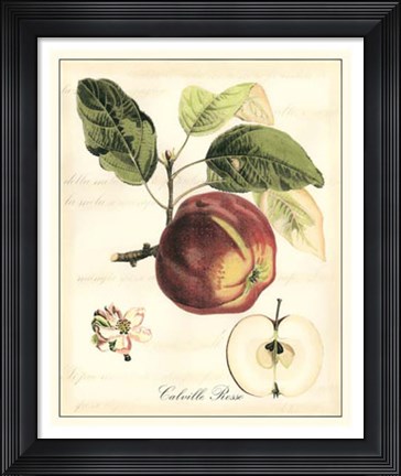 Framed Tuscan Fruits I Print