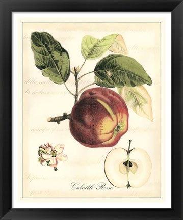 Framed Tuscan Fruits I Print