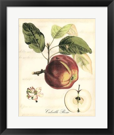 Framed Tuscan Fruits I Print