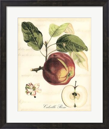 Framed Tuscan Fruits I Print