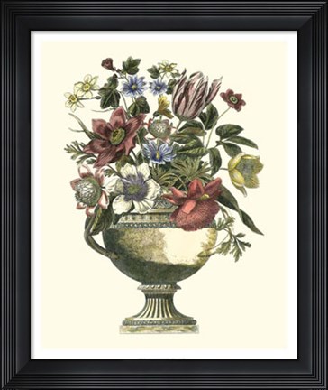 Framed Floral Splendor II Print