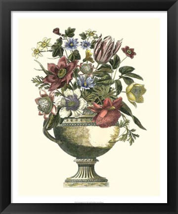 Framed Floral Splendor II Print