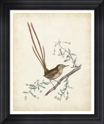 Framed Delicate Birds I Print