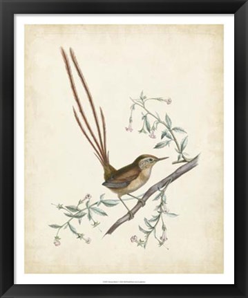 Framed Delicate Birds I Print