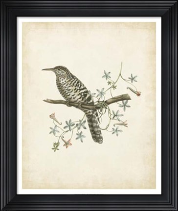 Framed Delicate Birds IV Print