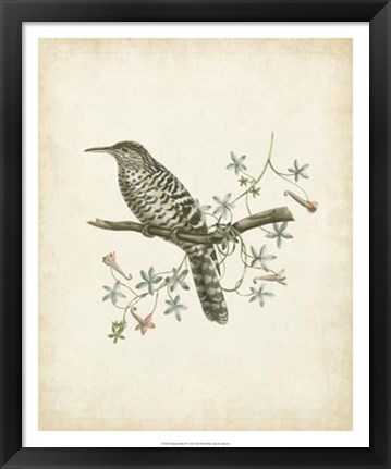 Framed Delicate Birds IV Print