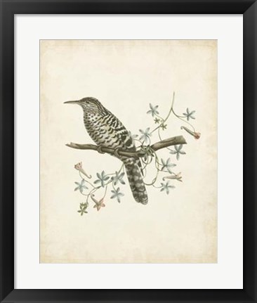 Framed Delicate Birds IV Print