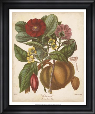 Framed Botanicals I Print