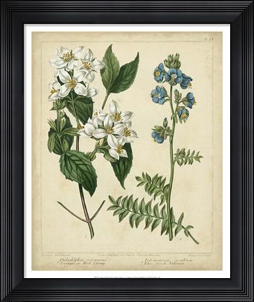 Framed Cottage Florals I Print