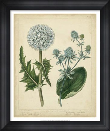 Framed Cottage Florals III Print