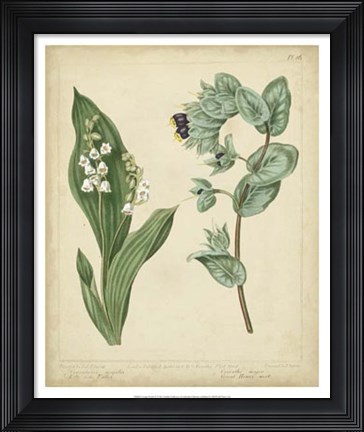 Framed Cottage Florals IV Print