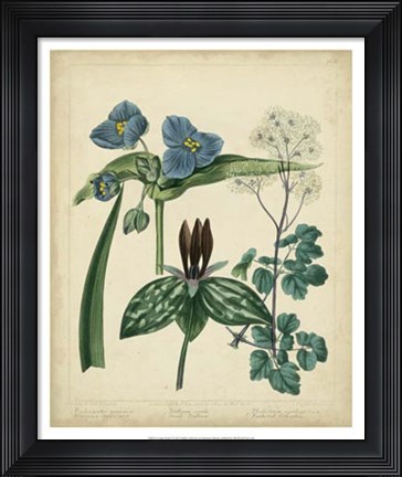 Framed Cottage Florals V Print