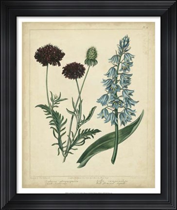 Framed Cottage Florals VI Print
