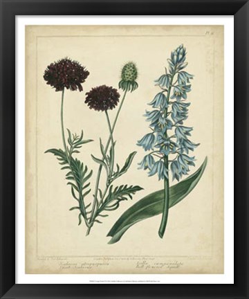 Framed Cottage Florals VI Print