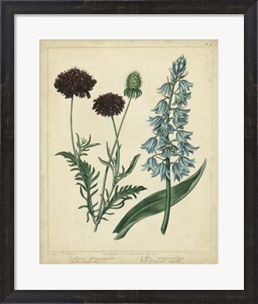 Framed Cottage Florals VI Print