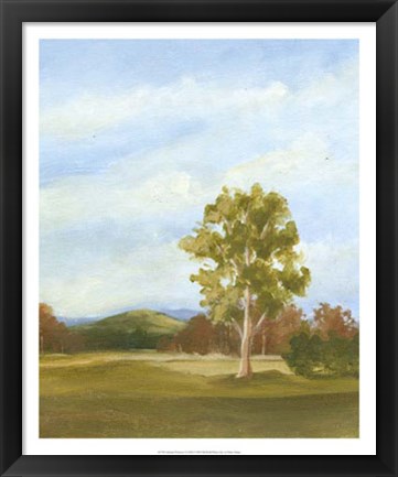 Framed Summer Horizons VI Print