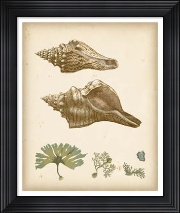 Framed Coastal Memories I Print